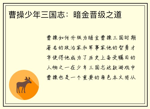 曹操少年三国志：暗金晋级之道
